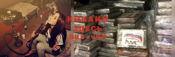 стаф Бородино