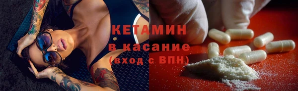 стаф Бородино