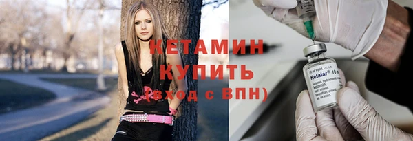 стаф Бородино