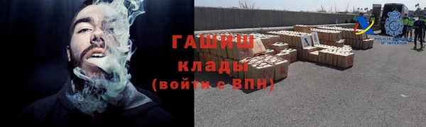 стаф Бородино