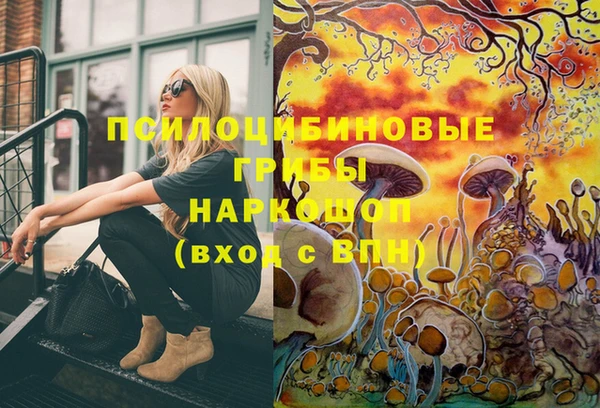 спиды Бронницы