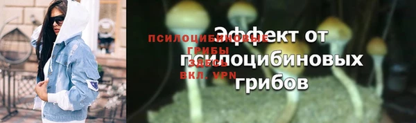 стаф Бородино