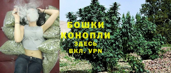 стаф Бородино