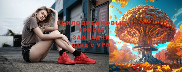 спиды Бронницы