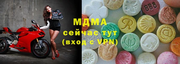 стаф Бородино