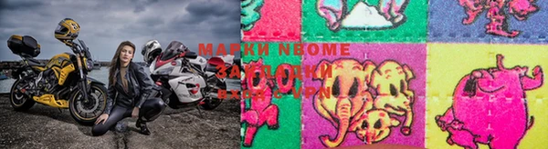 стаф Бородино
